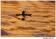 02. Swan river canoeist